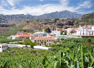 Ofertas LA PALMA | 2025